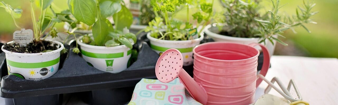 planting, spring, herbs, gardening, plants, tools, gardening tools, seedlings, gardening tools, gardening tools, nature, gardening tools, gardening tools, gardening tools