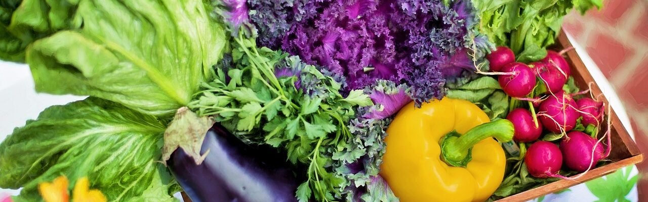 vegetables, garden, harvest, organic, gardening, lettuce, nutrition, produce, fresh, fresh vegetables, assorted, garden vegetables, healthy, nature, vegetables, vegetables, vegetables, vegetables, vegetables, garden, gardening, nutrition
