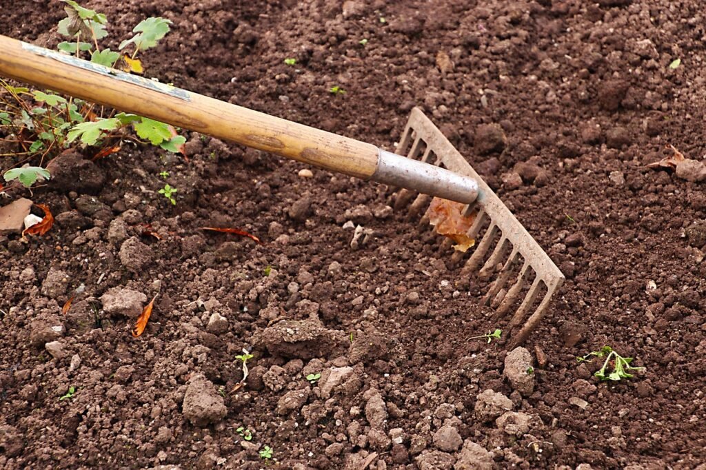 rake, gardening, garden, agriculture, work, tool, gardener, equipment, outdoor, raking, rural, soil, cultivation, earth, surface, ground, texture, land, planting, nobody, brown, cultivated, dirt, farmland, weeding, brown earth, brown work, brown texture, brown garden, brown gardening, brown tools, nature, rake, rake, soil, soil, soil, soil, soil
