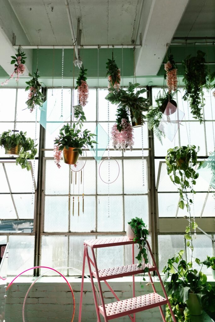 Bright and airy indoor space with hanging plants and a pink ladder for decoration.